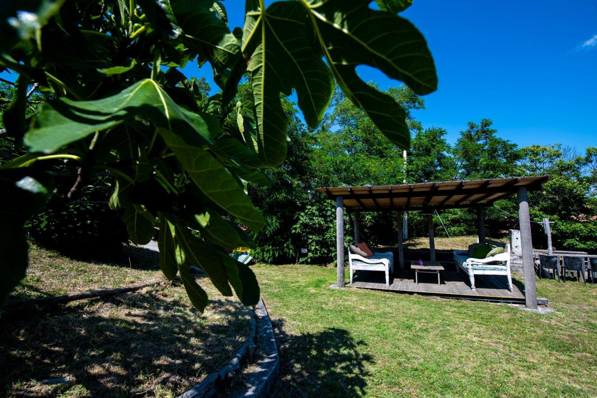211 - Appartamento Acacia, Terrazza Giardino E Piscina Carro Exterior foto